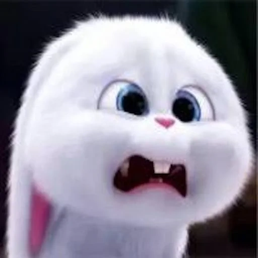 bola de neve de coelho, última vida de animais de estimação snowball, last life of pets de ball de snow, vida secreta de animais de estimação hare snowball, última vida de animais de estimação rabbit snowball