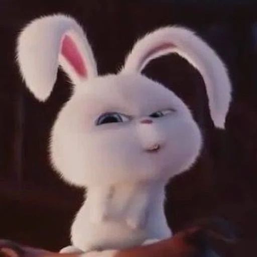 lapin, lapin maléfique, lapin en colère, boule de neige de lapin, dernière vie des animaux de compagnie rabbit snowball