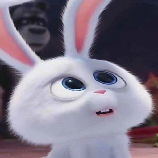 gato, bola de neve de coelho, rabit de desenho animado, little life of pets rabbit, a vida secreta dos animais de estimação é um coelho maligno