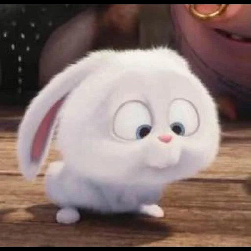 snowball di coniglio, la vita segreta degli animali domestici, little life of pets rabbit, snowball l'ultima vita degli animali domestici, ultima vita di animali domestici snowball