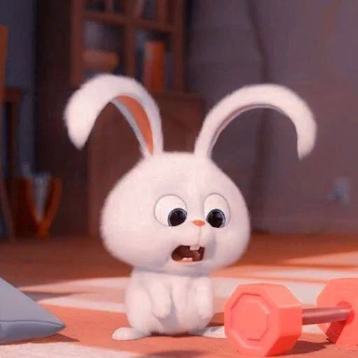 rabbit, rabbit snowball dress, the secret life of pets, the secret life of pets 2 chloe, secret life of rabbits cute pets