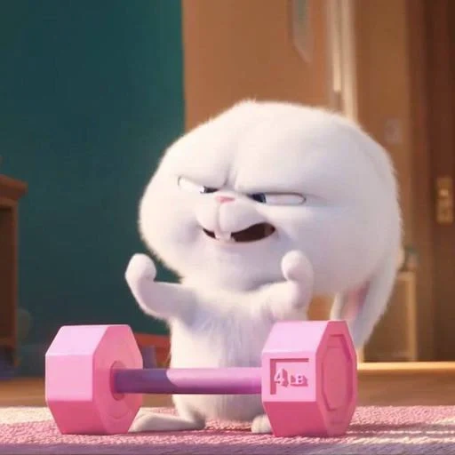 cartoon de bola de neve de gato, a vida secreta dos animais de estimação, vida secreta dos animais 2, last life of pets de ball de snow, vida secreta dos animais de estimação 2 coelho