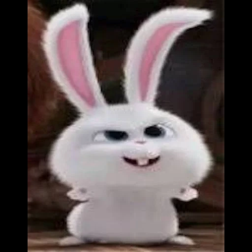 bola de nieve de conejo, conejo dibujos animados vida secreta, conejo dibujos animados vida secreta, conejo de mascota de vida secreta, vida secreta del conejo mascota