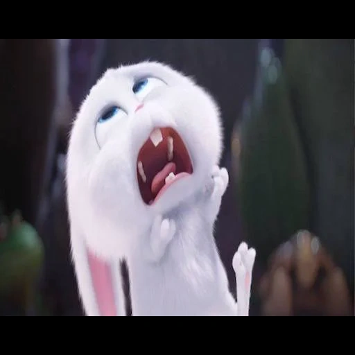 bola de nieve de conejo, dibujo de bola de nieve, liebre vida secreta, vida secreta de la mascota, vida secreta del conejo mascota