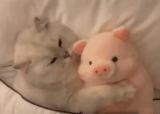 plush kittens, kitten toy, toy pigs, plush kitten toy, realistic toy kitten
