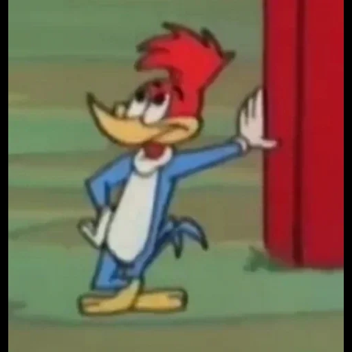 woody woodpecker, woody woodpike, dr woody the woodpecker, chili willie woody woodpike