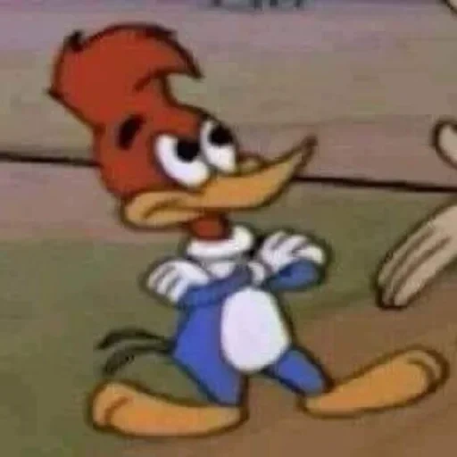 twitter, junge, holzmem, woody woodpecker, woodwood woody mem