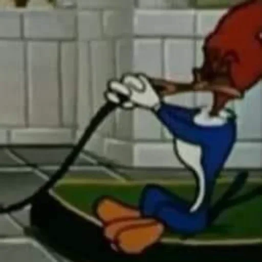 woodpecker woody hunter, woody the cartoon woodpecker, woody woodpecker cartoon 1999, woody woodpecker cartoon characters