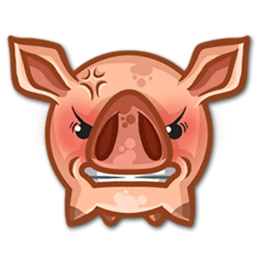 porco, o porco é malvado, rosto de porco, símbolo de expressão de javali, porco