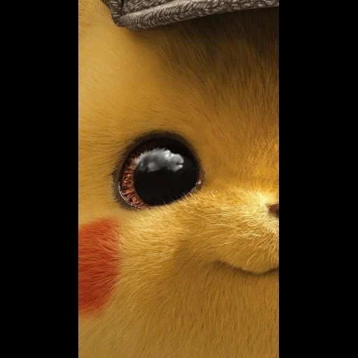 pikachu, joke, pikachu mia, pikachu mia, the wallpaper is cute
