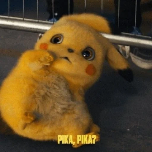 pikachu, meme de pikachu, naya kamensky, detective pikachu, pikachi de la vida real