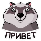 Пилфи (@TgSticker)