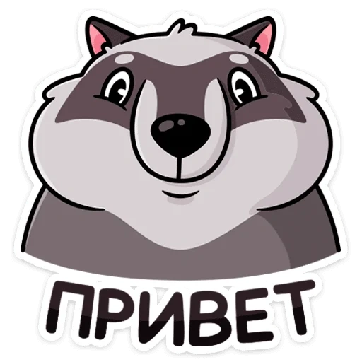 pilfie stickers, raccoon sticker, stickers, set of stickers, stickers stickers