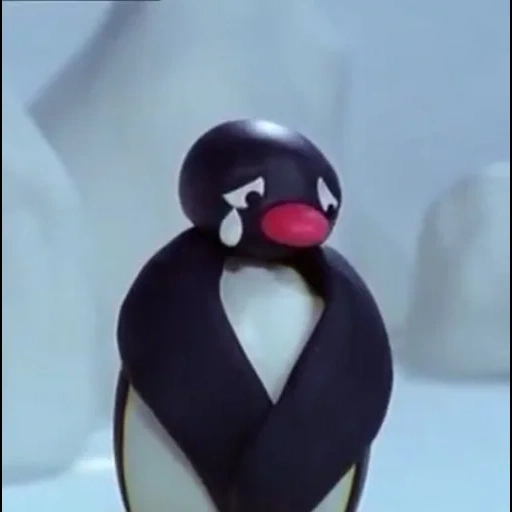 pingu, lustige pinguine, pinguin von hiragu, der pinguin der pinguin, pinguin hiragu cartoon