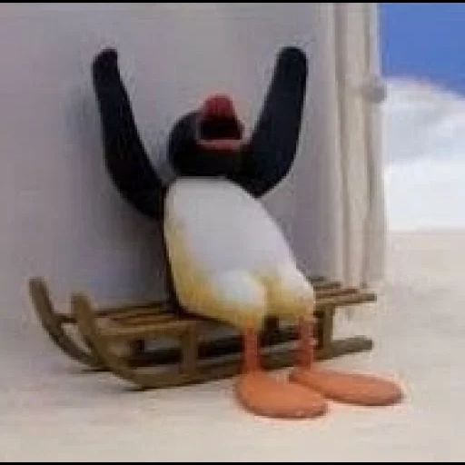 prolongada, pingüino, pingüino, meme de pingu, pingüino noot noot