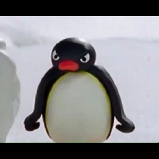 prolongada, pingüino, pingu 2002, pingo de pingwing, dibujos animados sobre pingüinos