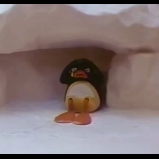 pinguim, mem penguin, nós desenhamos um pinguim, cartão postal do pinguim, ping ping cartoon pingu meme