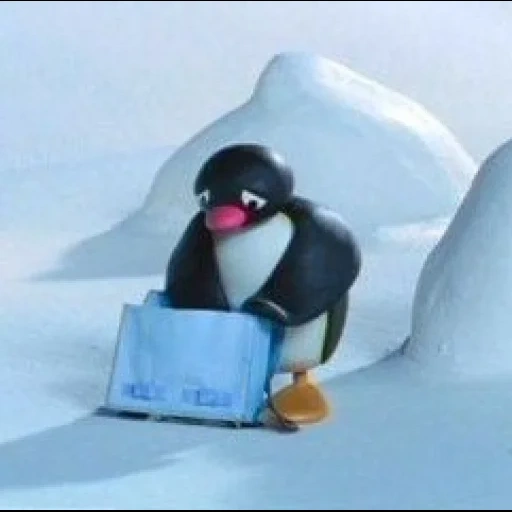 pingu, penguin, пингу 1986, пингвин басс, снег пингвин пингу