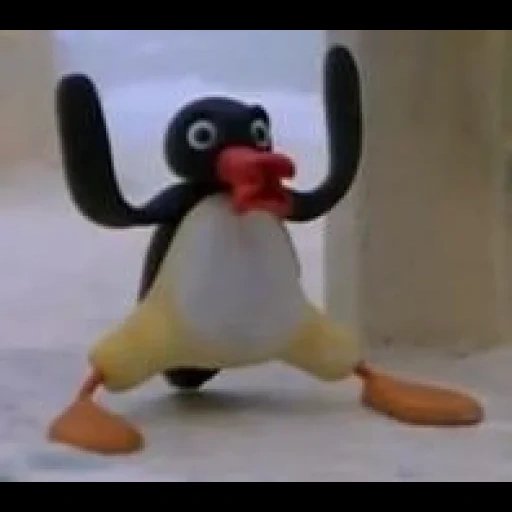 prolongada, pingüino, silla de pingüina, pingüino noot noot, pingüino