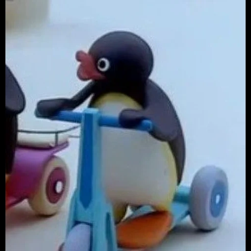 prolongada, pingüino, pingu enojado, caricatura de ping, pingu se lleva