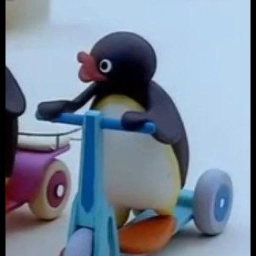 pingu, manchot, pingu en colère, dessin animé, pingu se fait emporter