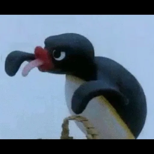 pingu, pingu 1980, pingu 2002, pingu 2004, пингвин noot noot