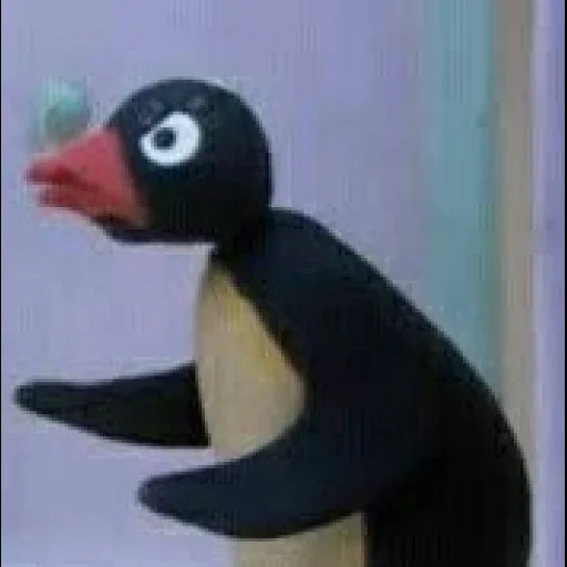 pingu, penguin, pinggu's anger, funny penguin, pinggu cried angrily