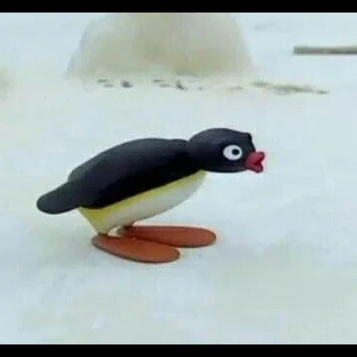 pingu, pingu 2004, noot noot 8k f, pinguin von hiragu, pinguin noot noot