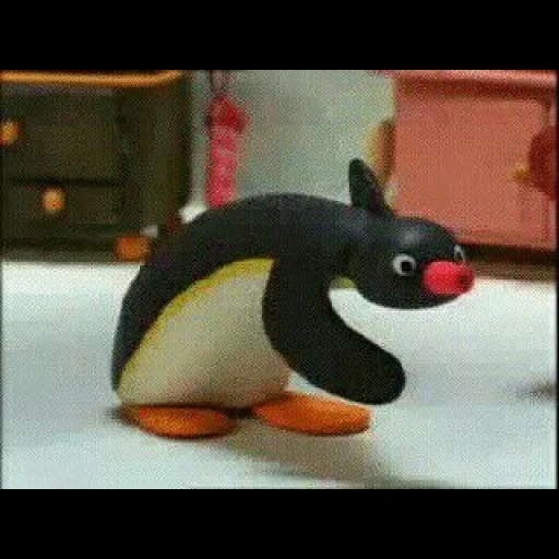 noot, pingu, noot noot, pinguino noot noot, penguin not not gif