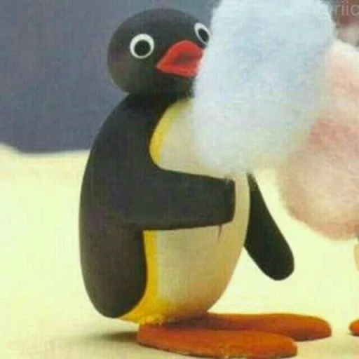 pingu, the penguin, pingu 2001, hiragu cartoon, cartoon pinguin