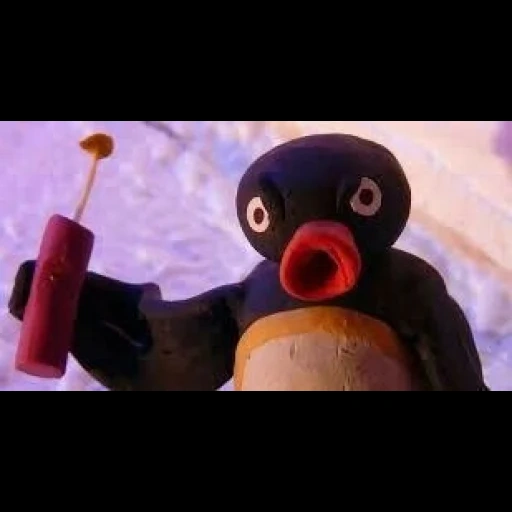 pingu, mèmes pingu, pingu en colère, noot noot meme, penguin noot noot