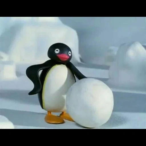 prolongada, pingüino, introducción, jimjam pings, pingo de pingwing