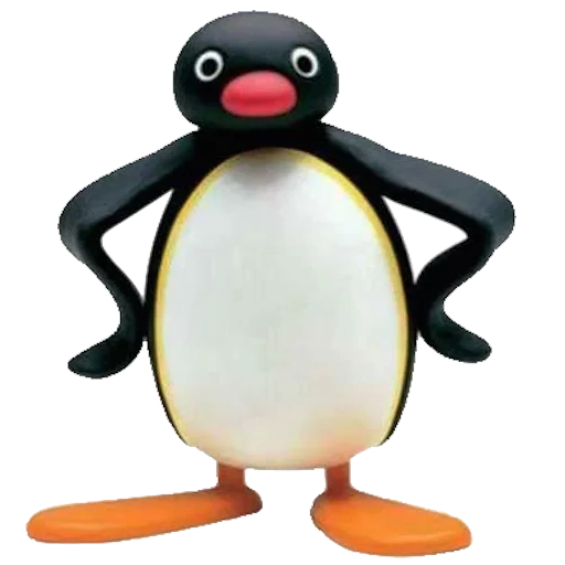 pingu cartoon, penguin noot neot, pingingara cartoon, penguin, pinguin penguin