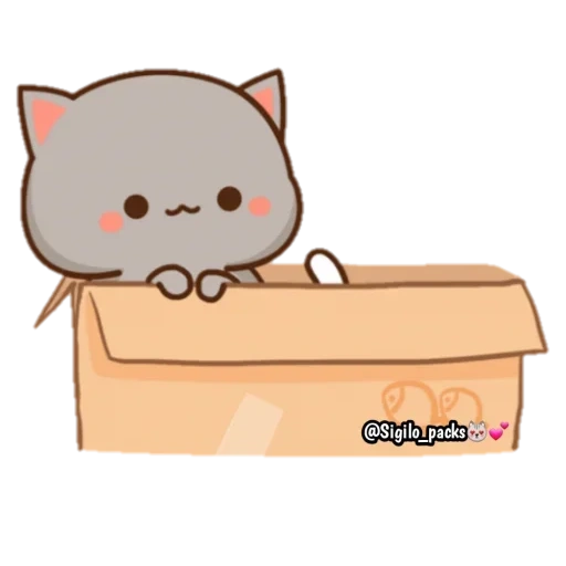 katiki kavai, kucing kawaii, kucing kawaii, kucing persik mochi, kucing persik mochi mochi