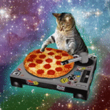 pizza für die katze, die weltraumkatze, dj pizza, pussy pizza raum, pizza cat party