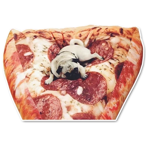 orkett, pizza, pizza, treat, favorite pizza