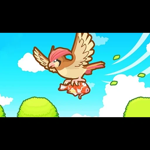 anime, pokémon, pokemon pidzheotto asche, mega pidgeot pokemon gehen, pokemon pijotto greift an