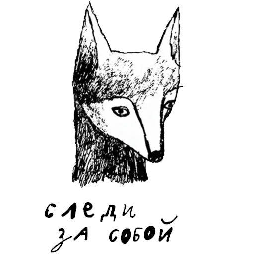 fox fox, la tête du renard, tirage au rendez-vous, renard avec un crayon