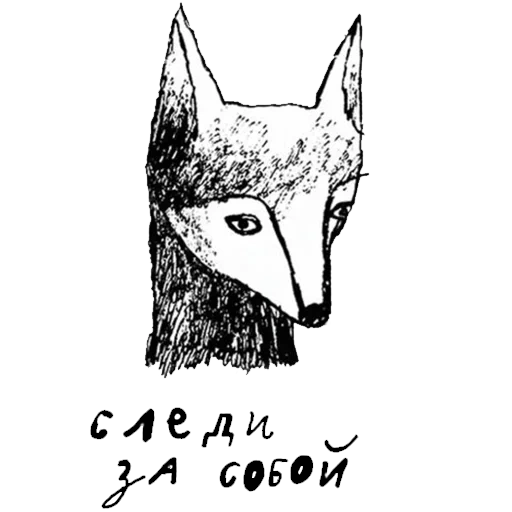 fox fox, the head of the fox, fox drawing, fox with a pencil