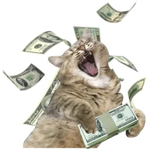 scherzen, katzengeld, reiche katze, cash cat, fallendes geld