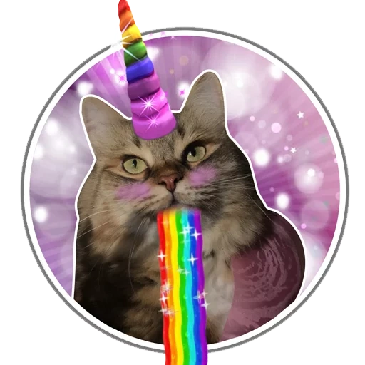 cat, cat, unicorn cat, unicorn cat