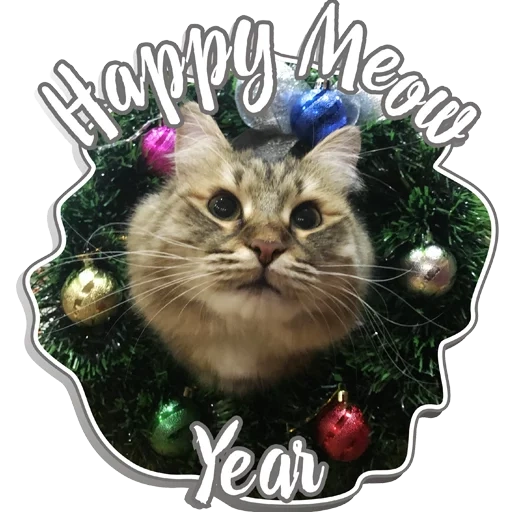gato, árbol de navidad gato, año nuevo del gato, gato de año nuevo, gatito irrumpió en la puerta