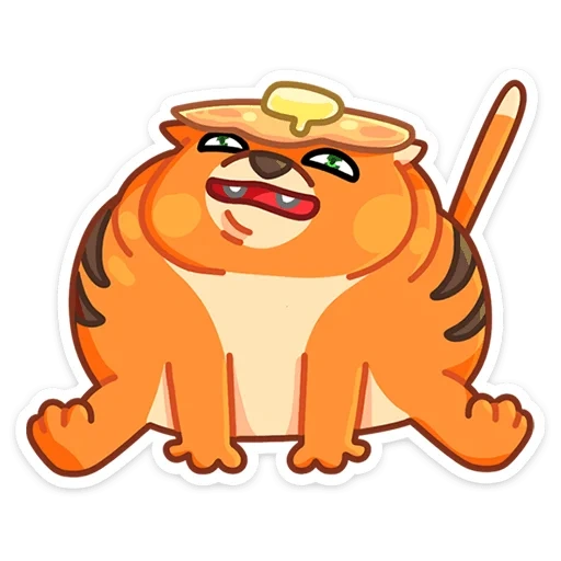 кот, манул, кот манул, манул маня, grumpy tiger