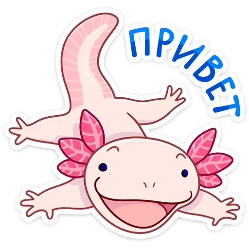 ajolote, dibujo axolotl, axolotle es pequeño, pegatinas axoloted en el