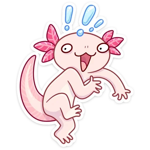 axolotl, axolotle lotti, gambar axolotl, axolotle kecil