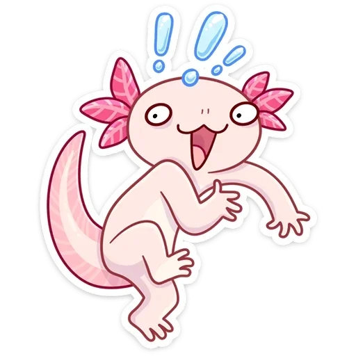 axolotl, axolotle lotti, desenho axolotl, axolotle é pequeno