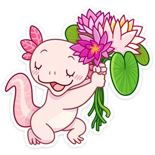 axolotl, axolotl manis, gambar axolotl, furson axolotl, axolotle kecil