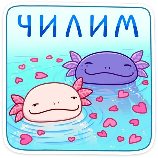 dolce axolotl, axolotl kawaii, disegno axolotl, axolotl chan dune, little axolotl