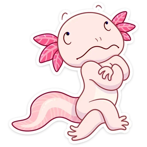 axolotl, hewan axolotl, axolotle kecil, axolotl axolotl, naomi lord axolotl