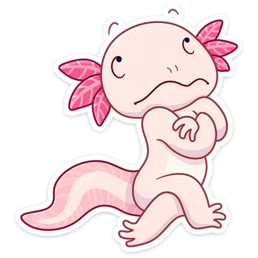 axolotl, animale axolotl, axolotle è piccolo, axolotl axolotl, naomi lord axolotl